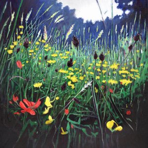 Meadow glory, 2015,